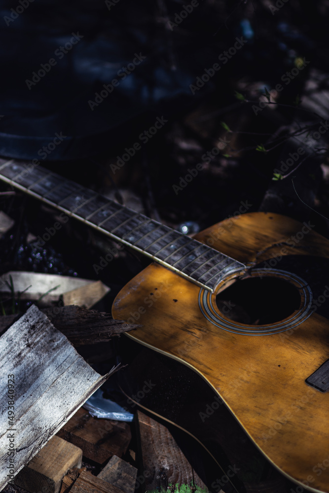 Obraz premium guitar