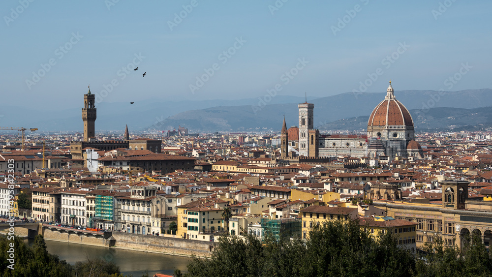Florence with birds