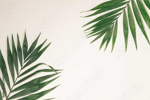 Palm leaves lie on the ground. Copy space  top view