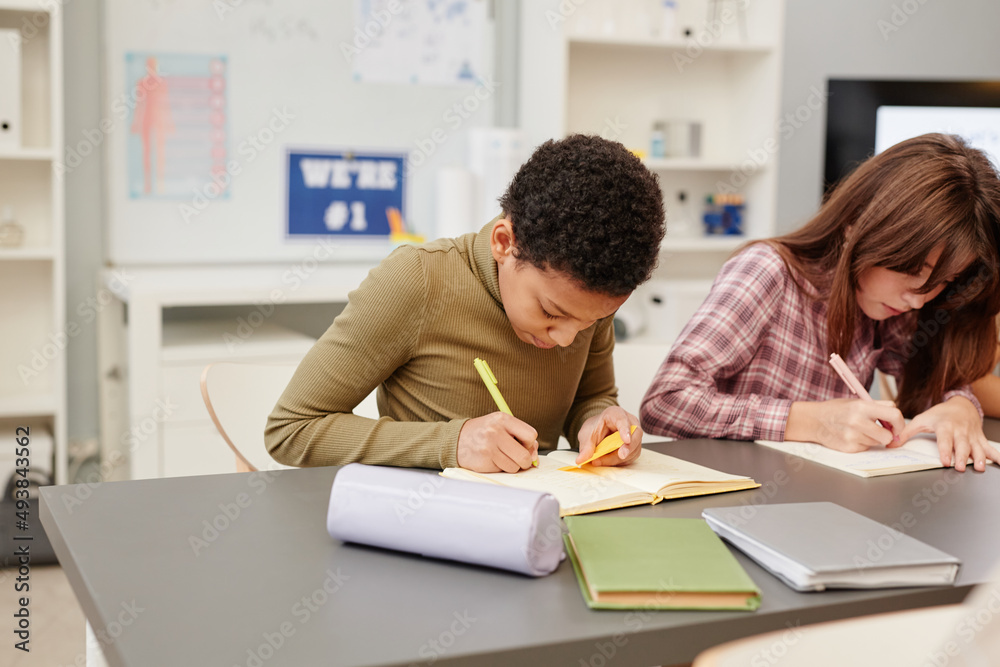 Portrait of African American teenage girl working hard while studying in school classroom