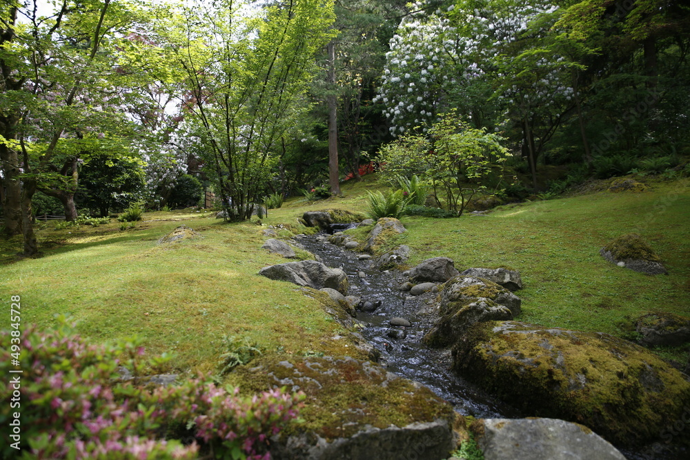 Japanese Garden Japanese Garden