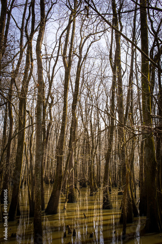 Around Illinois