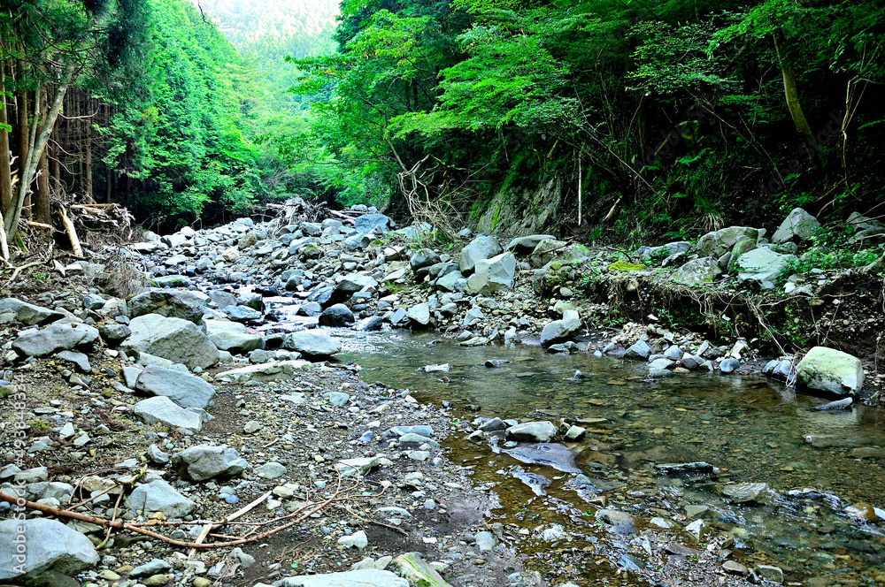 足柄山地の矢倉岳 山伏平ハイキングコース 渡渉する山道
足柄山地の矢倉岳 山伏平ハイキングコース 渡渉する山道