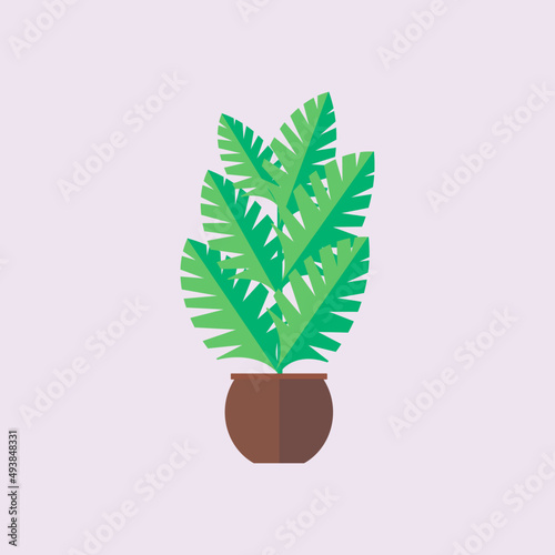 flower in the pot vector