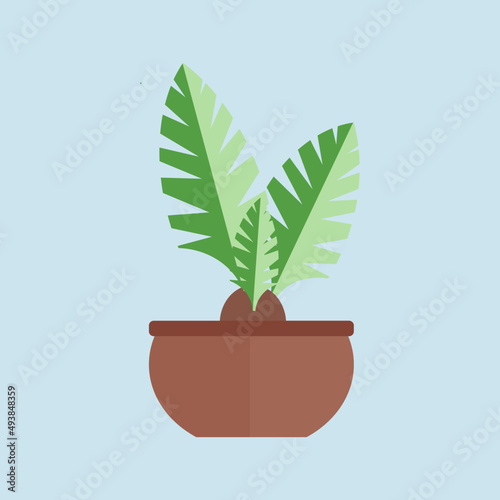 flower in the pot vector