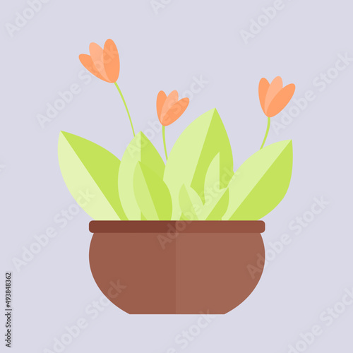 flower in the pot vector