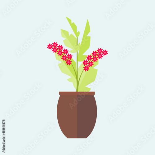 flower in the pot vector