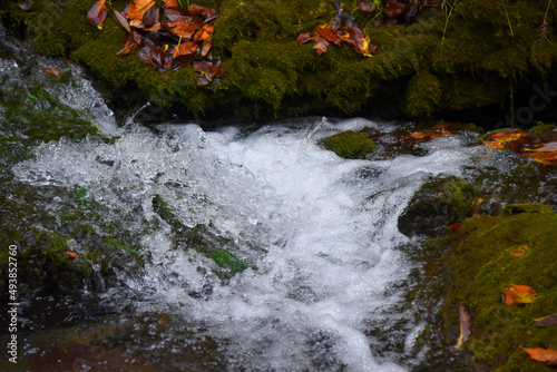 Splashing Over Moss Covered Rocks