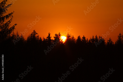 Sonnenuntergang   ber den W  ldern im Oberharz