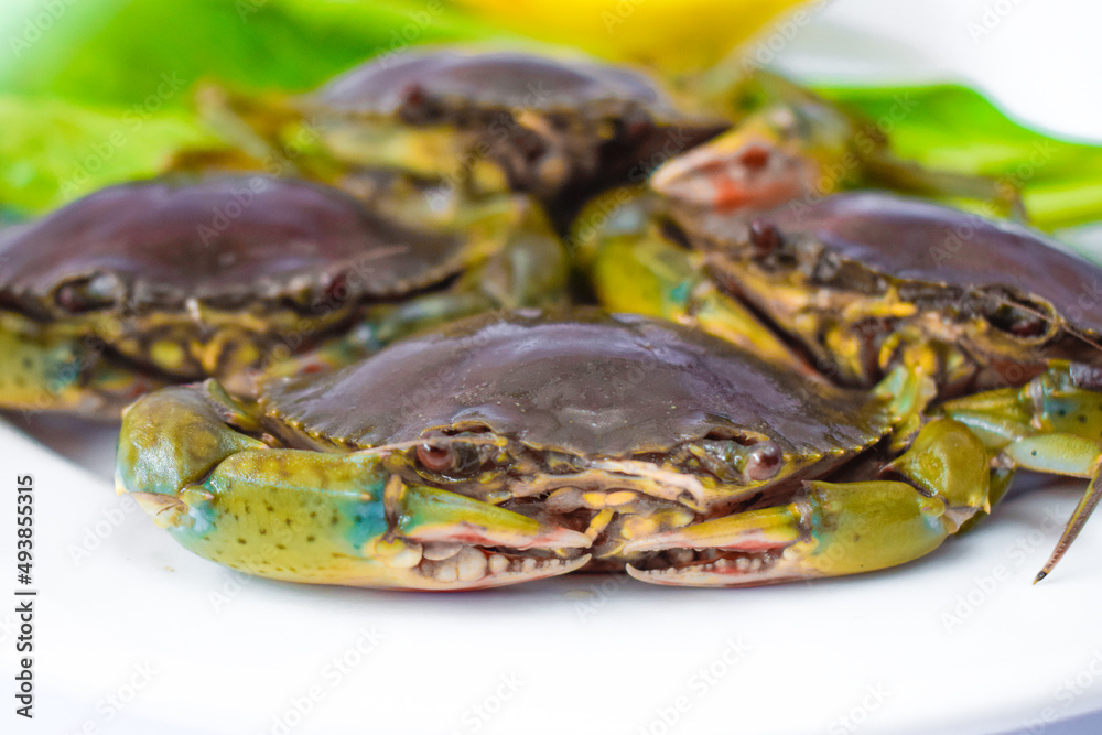 Green crab, oranges and vegetables on a white plate ready to be cooked. Green crab, oranges and vegetables on a white plate ready to be cooked.