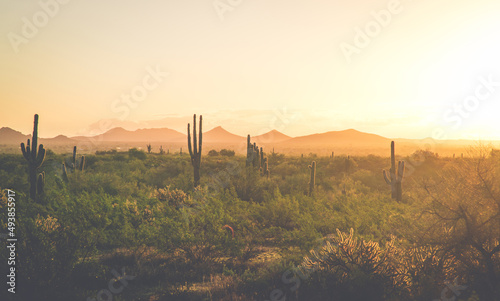 Sunrise in Phoenix