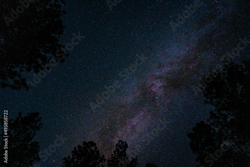 Εκτύπωση καμβά starry night sky near flagstaff