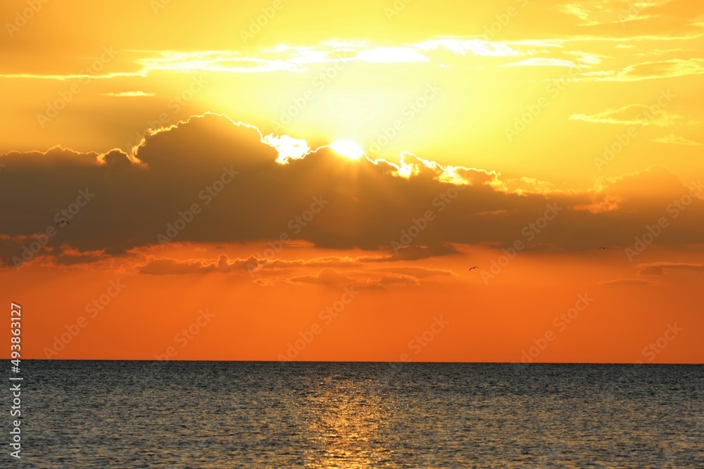 Fototapeta premium sunset over the sea