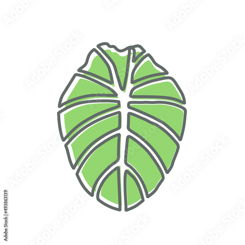 Elephant ear plant leaf illustration, isolated on white background
