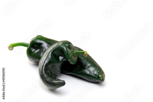 poblano chili on white background with space for text photo