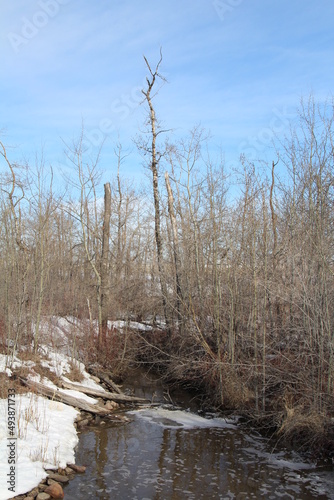 March On The Creek, Pylypow Wetlands, Edmonton, Alberta
