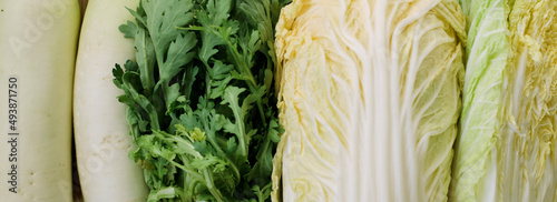 Close up photo of fresh Daikon radish, Kikuna leaves and Hakusai / Napa cabbage