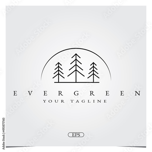 evergreen logo premium with pines tree logo elegant template vector eps 10