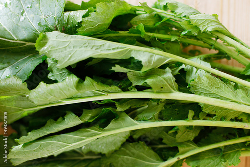 Close up photo of Fresh white turnip greens sitting on wooden table. Beautiful soft sunlight.