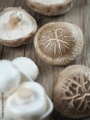 신선한 유기농 양송이버섯과 표고버섯