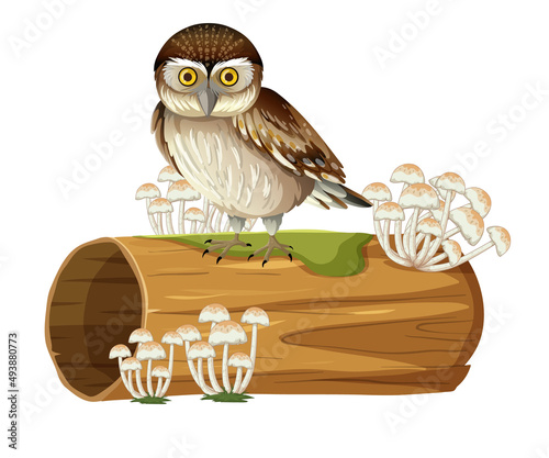 Owl standing on stump in cartoon style