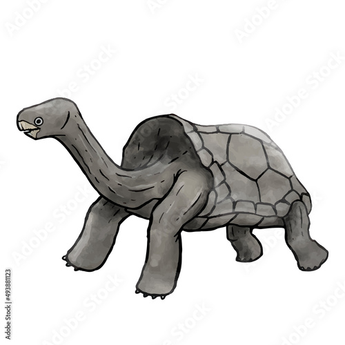 Galapagos giant tortoise vector illustration photo