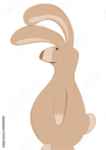 Hase