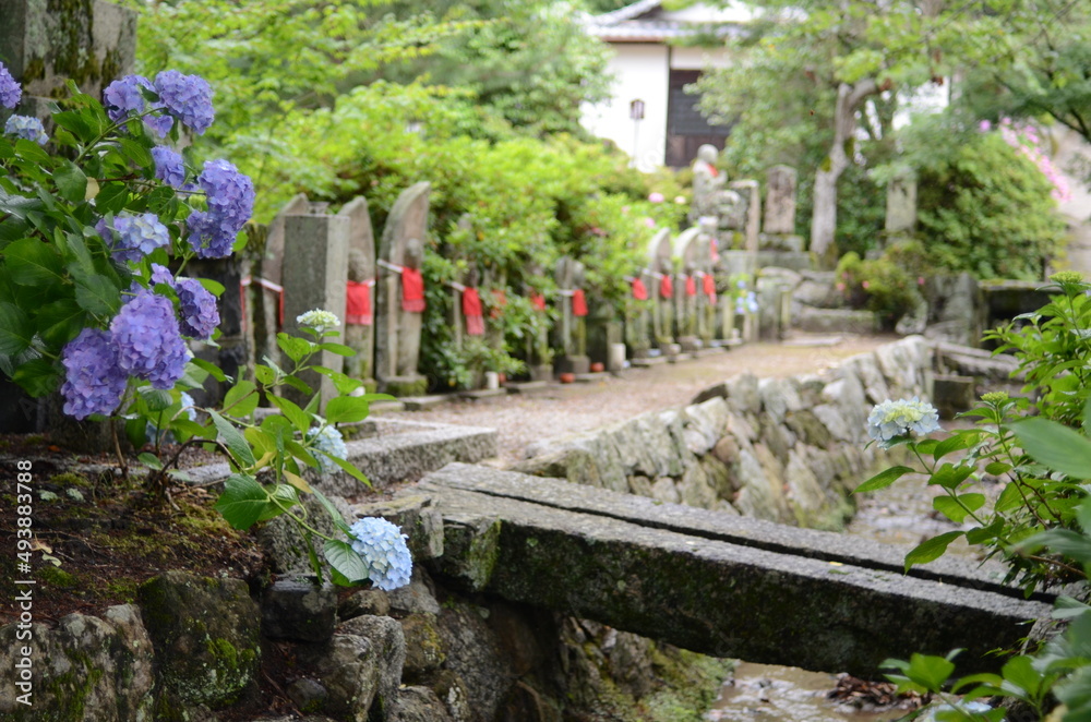 Naklejka premium 奈良 矢田寺の紫陽花とお地蔵さん