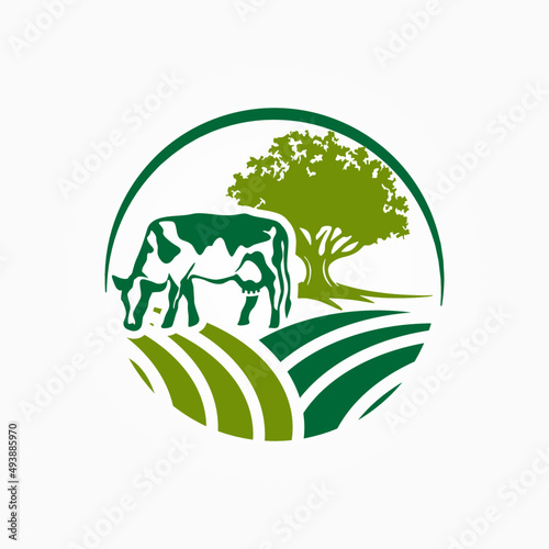 Dairy firm