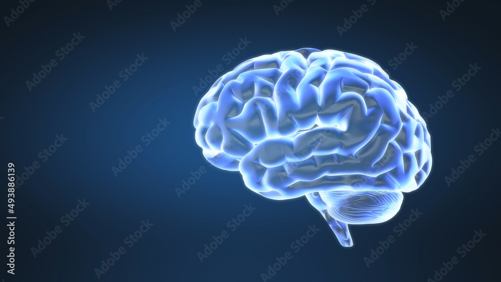 Abstract animation of loopable human brain