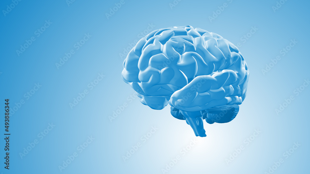 3D Animation of Human Brain Abstract 3D Animation of Human Brain Abstract