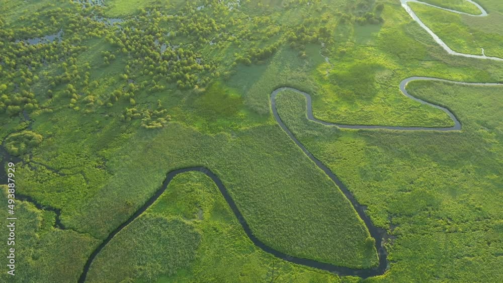 The twisted river meanders through the swamp. Filmed UHD in 4k video. The twisted river meanders through the swamp. Filmed UHD in 4k video.