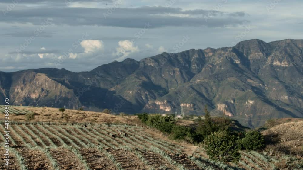 Clouds moving over agave fields between the mountains of Tequila, Jalisco, Mexico. Clouds moving over agave fields between the mountains of Tequila, Jalisco, Mexico.