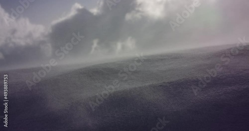 舞雪_1