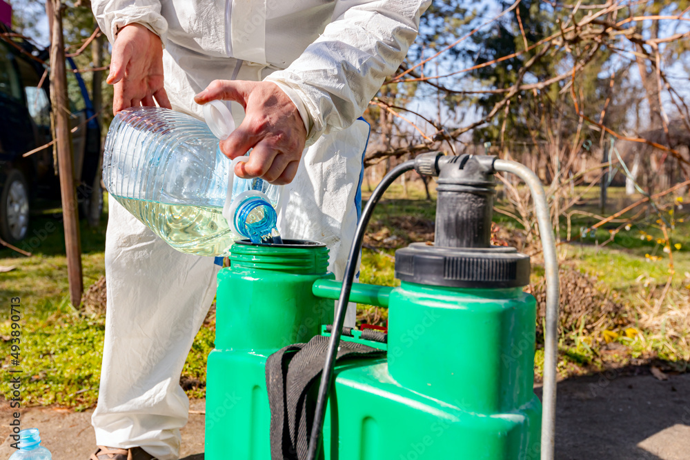 Gardener is blending substance with water in proper scale for sprinkles fruit trees Gardener is blending substance with water in proper scale for sprinkles fruit trees
