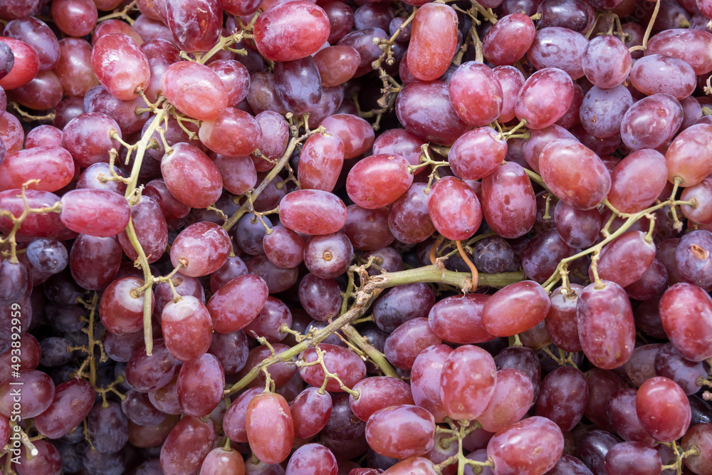 Bunch of colorful grapes with leaves Bunch of colorful grapes with leaves