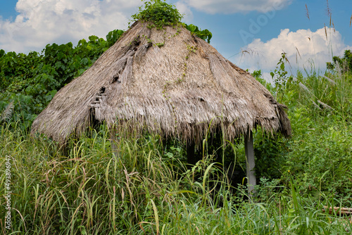 Fototapeta Naklejka Na Ścianę i Meble -  Balinese straw hut surrounded by greenery
