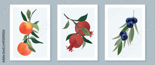 Abstract fruit wall art set. Collection of minimal drawing with branches, oranges, pomegranate and blackberries. Spring season watercolor perfect for decoration, interior, background, wallpaper.