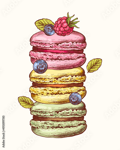 Vector collection of hand drawn colorful cake macaroons. French pastry macaron. Blueberry, raspberry, mint. Highly detailed collection dessert, macaroon, sweets, menu design, restaurants, shop