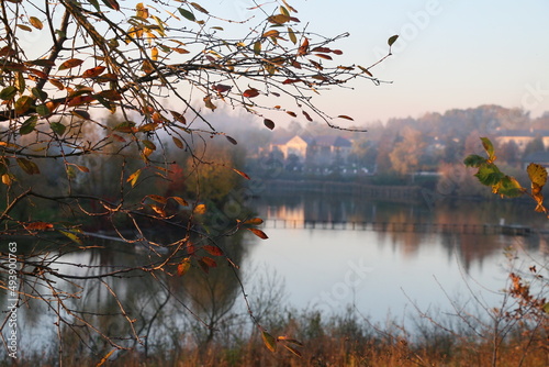 Sunrise over the lake. Autumn willow. Autumn landscape. The sun's rays break through the willow branches.