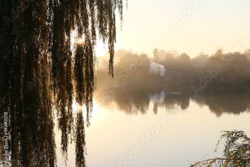 Sunrise over the lake. Autumn willow. Autumn landscape. The sun's rays break through the willow branches.