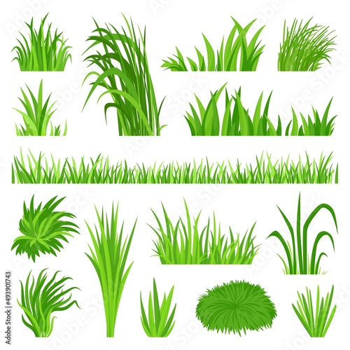 Meadow grass elements. Back yard field, organic green lawn. Weeds vegetation, decorative isolated planting objects. Natural bush, flora neoteric vector set