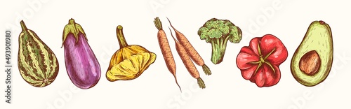 Vegetables collection in engraving style. Vector Hand Drawn. Sketch Botanical Illustration. Eco healthy food. Superfood. Line art zucchini, eggplant, patisson, carrot, broccoli, tomato, avocado