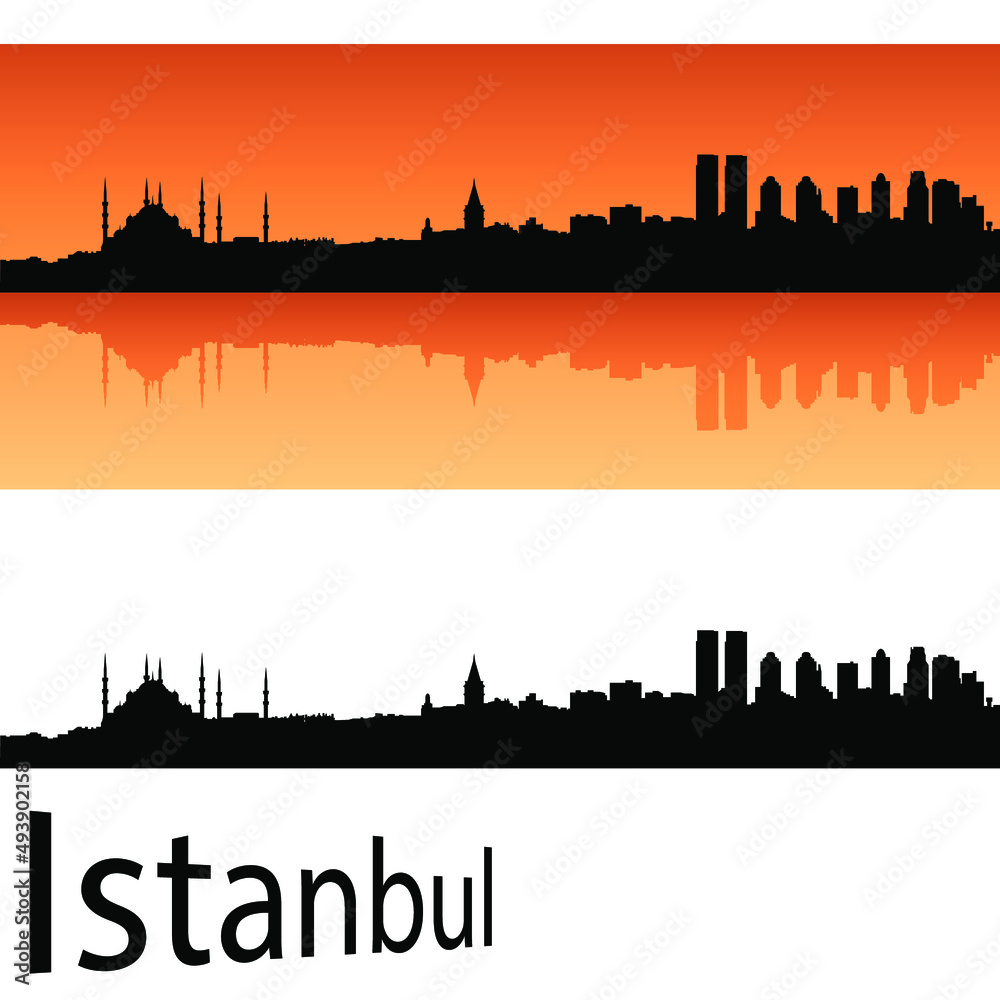 istanbul city skyline in ai format