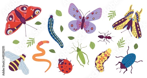 Insect characters. Coloring doodle insects, simple caterpillar, butterfly and bug. Funny trendy beetle and ant, isolated garden wild animals decent vector set