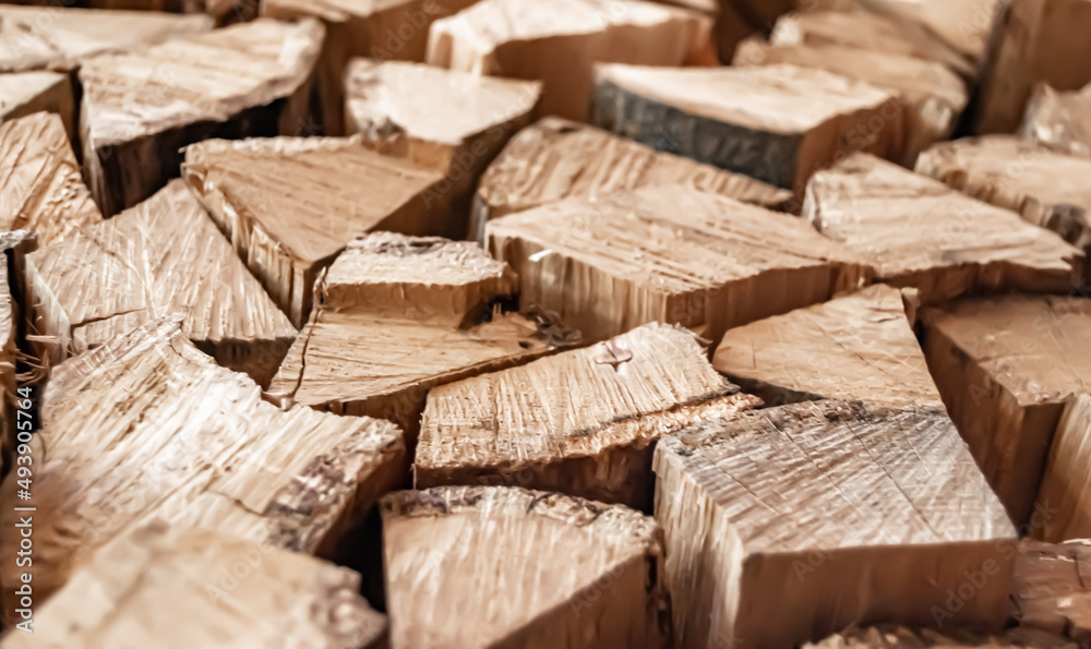Photography on theme big wall of stacked oak tree logs in cracks Photography on theme big wall of stacked oak tree logs in cracks