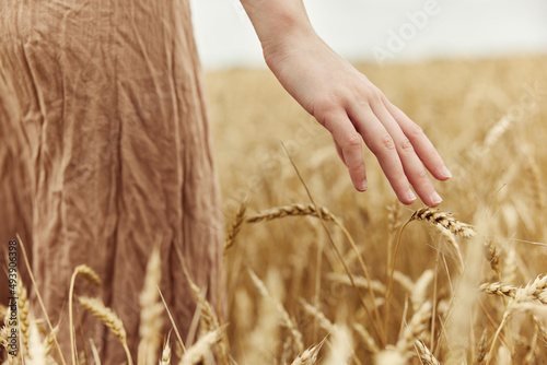 touching golden wheat field rye farm nature autumn season concept