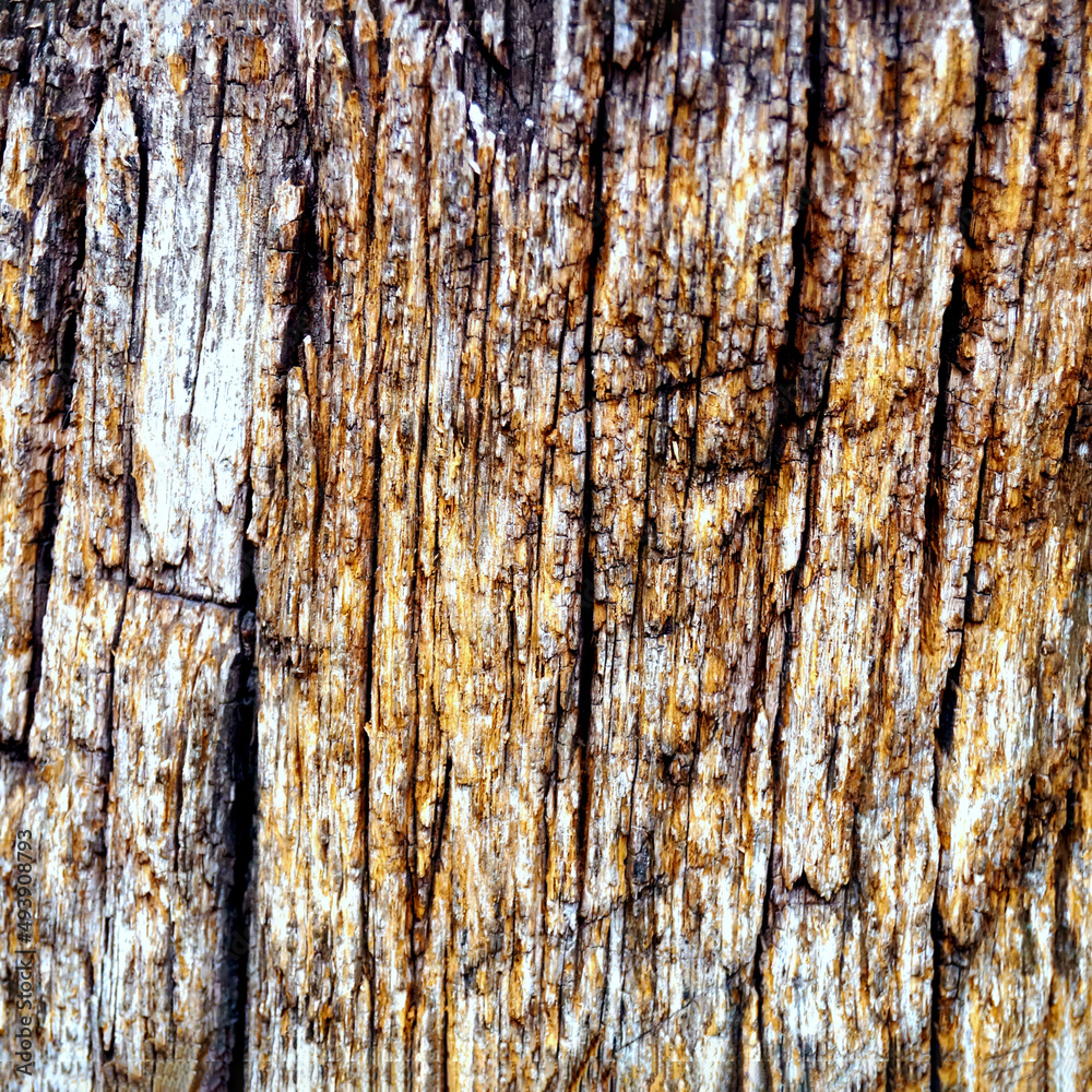 Obraz premium background texture brown brown old natural