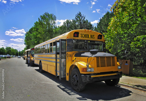 Yellow school buses parked in front of green trees under spectacular blue sky on a hot sunny day