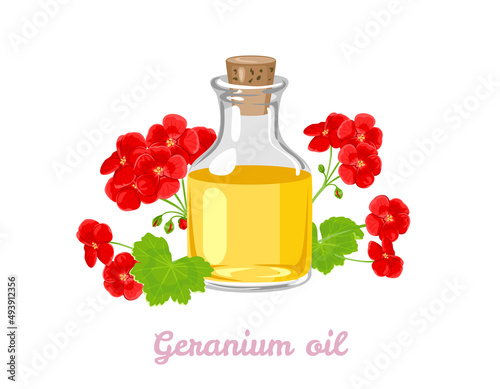 Geranium aromatic oil in glass bottle and red flowers isolated on white background. Vector illustration. Cartoon flat style.